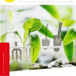 Titelseite Onlineausgabe Ende Juli